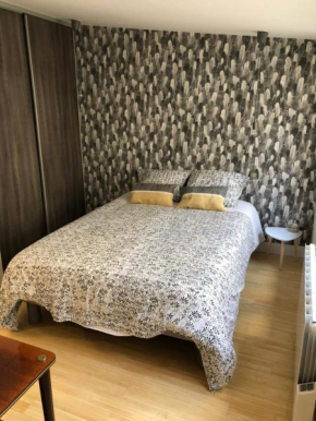 appartement place stanislas